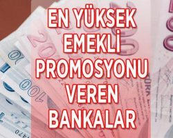 2024 EMEKLİ PROMOSYON TUTARLARI (Akbank, Garanti, İş Bankası ve diğer bankalar): 📌 Hangi banka ne kadar emekli promosyonu veriyor? En yüksek emekli promosyonu veren bankalar….